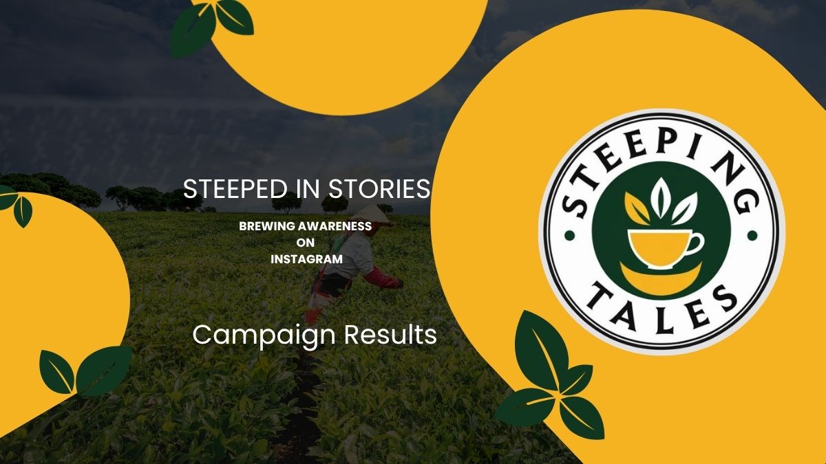 Steeping Tales Instagram campaign cover slide with tea farm background and brand logo